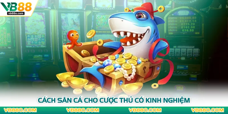 Cách săn cá cho cược thủ có kinh nghiệm