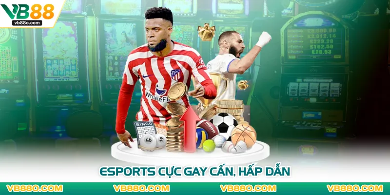 Esports cực gay cấn, hấp dẫn