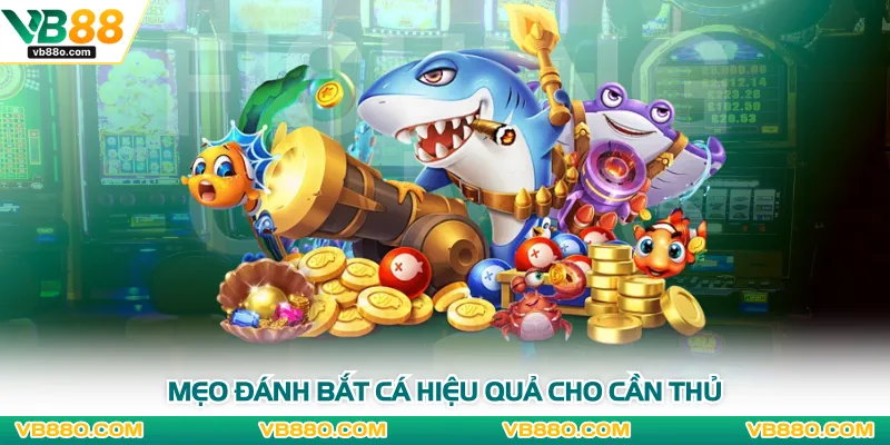Mẹo đánh bắt cá hiệu quả cho cần thủ